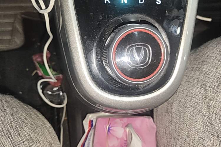 Used CHANGAN Benni E-Star 2021 National Edition Heart-Pounding Edition Lithium Iron Phosphate Gear Lever