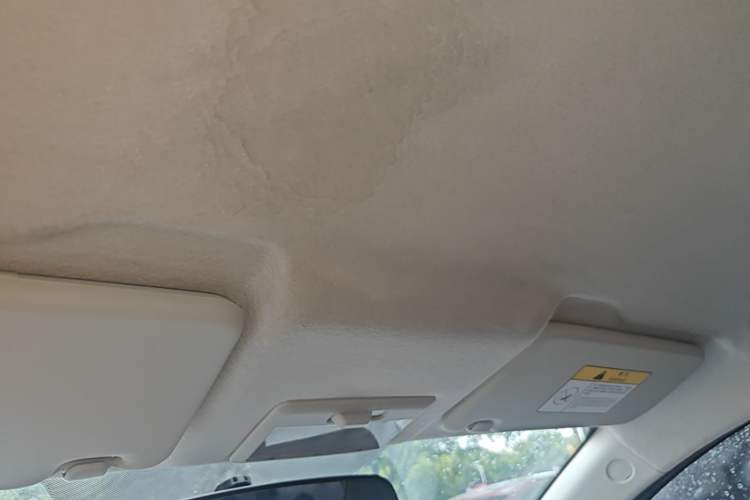 Used CHANGAN Benni E-Star 2021 National Edition Xin Yue Version Lithium Iron Phosphate (31.86 kWh) Headliner