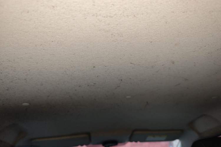 Used CHANGAN Benni E-Star 2021 National Edition XinYi Edition Lithium Iron Phosphate (31.86 kWh) Headliner