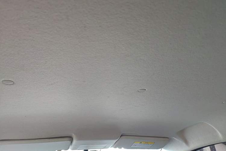 Used CHANGAN Benni E-Star 2021 National Edition Xin Yue Version Lithium-Ion Battery Headliner