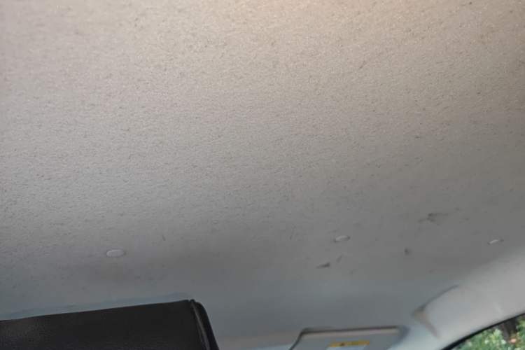 Used CHANGAN Benni E-Star 2021 National Edition Xinyue Version (Fast-Charging Edition) Lithium NMC Headliner