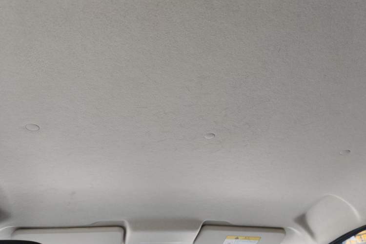 Used CHANGAN Benni E-Star 2021 National Edition Xinyue Version (Fast-Charging Edition) Lithium NMC Headliner