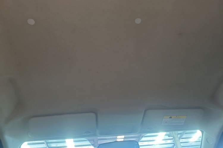 Used CHANGAN Benni E-Star 2021 National Edition Xin Yue Version Lithium Iron Phosphate (31.18 kWh) Headliner