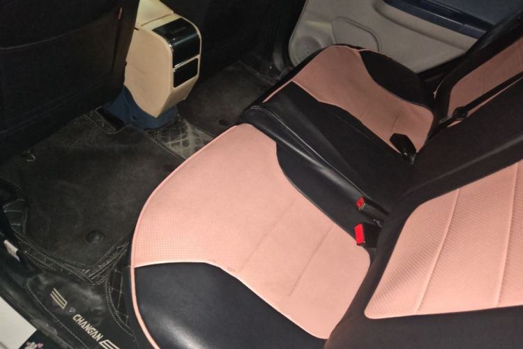 Used CHANGAN Benni E-Star 2021 National Edition Colorful Version Lithium Iron Phosphate (31.86 kWh) Left Rear Seat