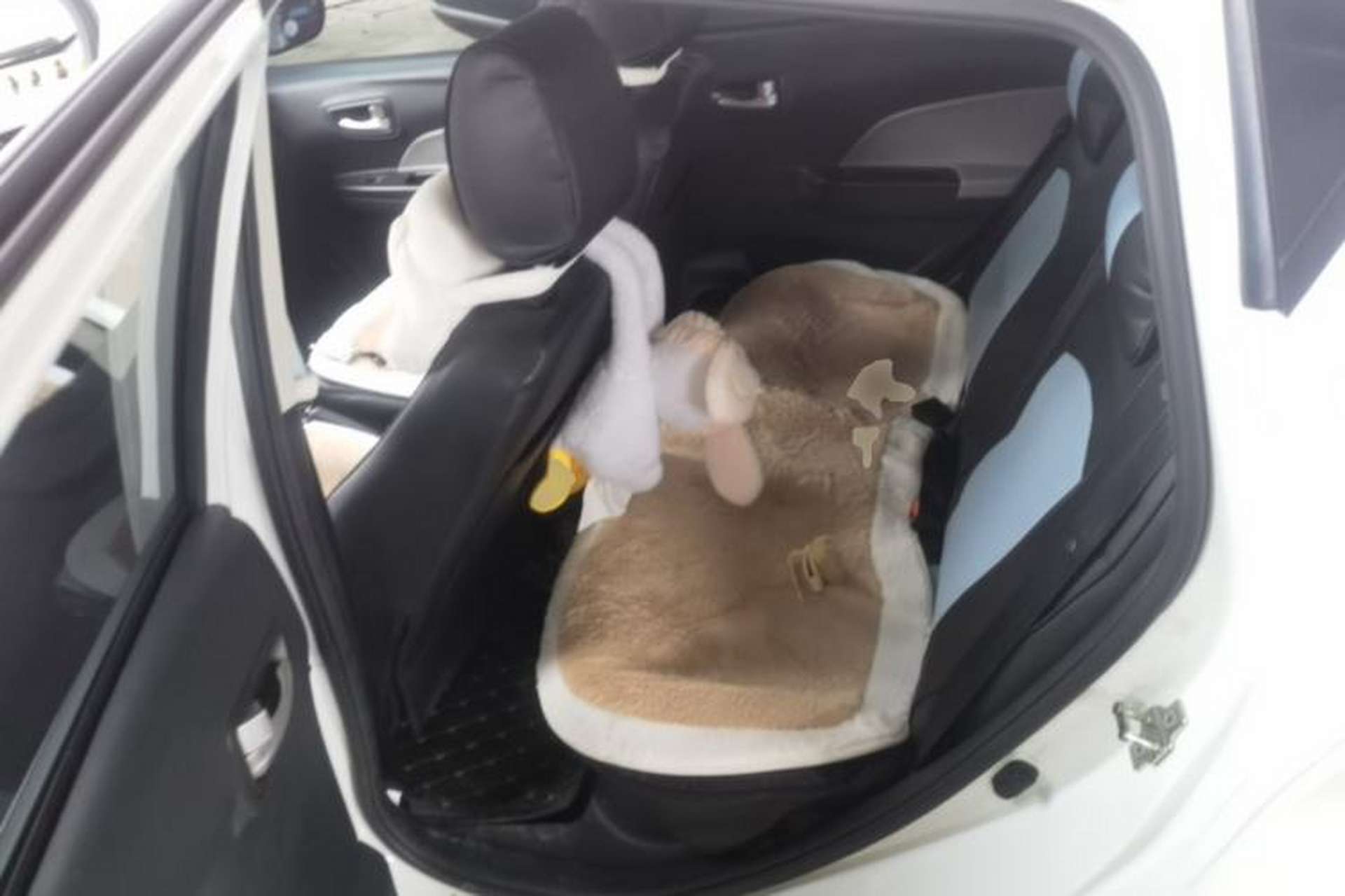 Used CHANGAN Benni E-Star 2021 National Edition Xinyue Version (Fast-Charging Edition) Lithium NMC Left Rear Seat
