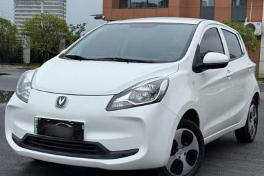 Used CHANGAN Benni E-Star 2021 National Edition Xin Yue Version (Fast-Charging Edition) Lithium Iron Phosphate (31.95 kWh)