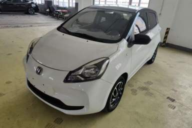 Used CHANGAN Benni E-Star 2021 National Edition XinYi Edition Lithium Iron Phosphate (31.86 kWh)