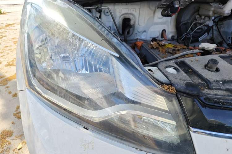 Used CHANGAN Benni E-Star 2021 National Edition Xin Yue Version (Fast-Charging Edition) Lithium Iron Phosphate (31.18 kWh) Right Front Headlight