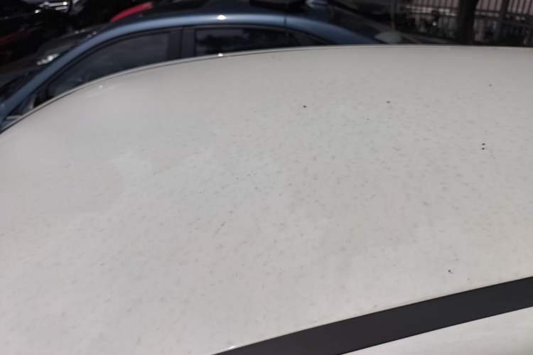 Used CHANGAN Benni E-Star 2021 National Edition Xin Yue Version (Fast-Charging Edition) Lithium Iron Phosphate (31.95 kWh) Roof