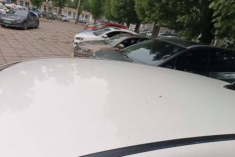 Used CHANGAN Benni E-Star 2021 National Edition Xinyue Version (Fast-Charging Edition) Lithium NMC Roof