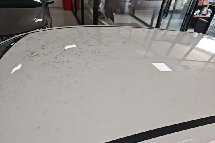 Used CHANGAN Benni E-Star 2021 National Edition Xin Yue Version Lithium Iron Phosphate (31.86 kWh) Roof
