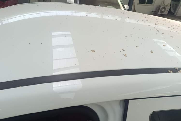Used CHANGAN Benni E-Star 2021 National Edition Xin Yue Version Lithium Iron Phosphate (31.18 kWh) Roof
