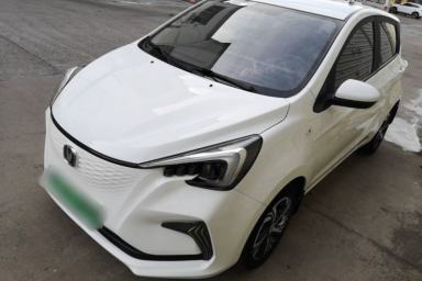 Used CHANGAN Benni E-Star 2021 National Edition Xin Yue Version Lithium-Ion Battery