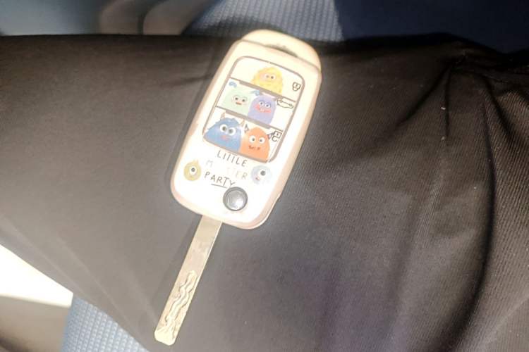 Used CHANGAN Benni E-Star 2021 National Edition Colorful Version Lithium Iron Phosphate (31.86 kWh) Vehicle Key