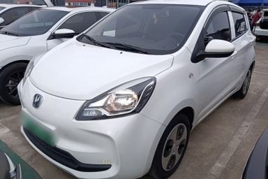 Used CHANGAN Benni E-Star 2021 National Edition Xin Yue Version (Fast-Charging Edition) Lithium Iron Phosphate (31.95 kWh)