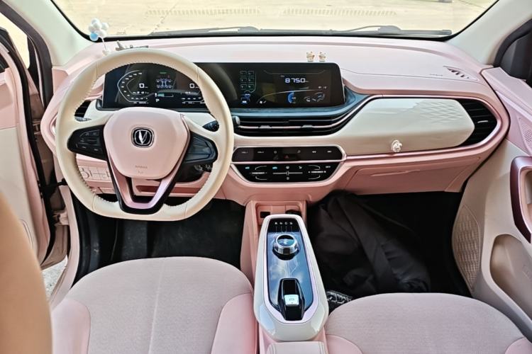 Used CHANGAN Benni E-Star 2022 Qingxin Edition Colorful Model Lithium Iron Phosphate Center Console
