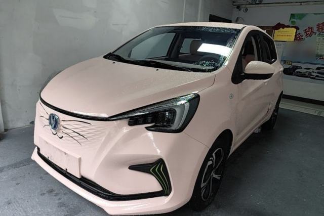 Used CHANGAN Benni E-Star 2022 Qingxin Edition Colorful Model Lithium Iron Phosphate