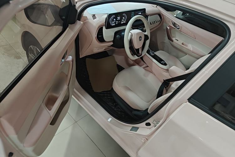 Used CHANGAN Benni E-Star 2022 Qingxin Edition Colorful Model Lithium Iron Phosphate Driver Seat