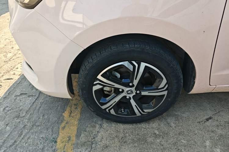 Used CHANGAN Benni E-Star 2022 Qingxin Edition Colorful Model Lithium Iron Phosphate Exterior 4