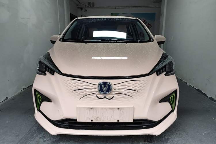 Used CHANGAN Benni E-Star 2022 Qingxin Edition Colorful Model Lithium Iron Phosphate Front