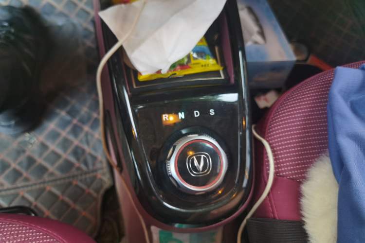 Used CHANGAN Benni E-Star 2022 National Edition Colorful Limited Edition (Fast-Charging Version) Lithium Iron Phosphate Gear Lever