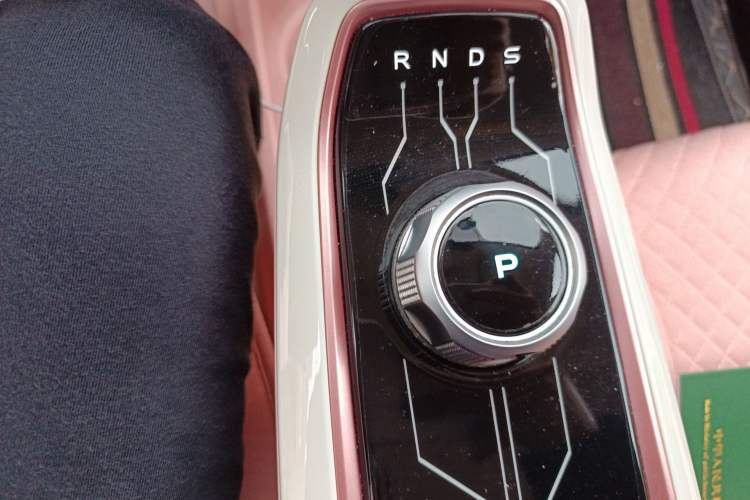 Used CHANGAN Benni E-Star 2022 Charming Edition Colorful Model Lithium Iron Phosphate Gear Lever