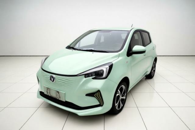 Używany CHANGAN Benni E-Star 2022 Charming Edition Colorful Model Lithium Iron Phosphate