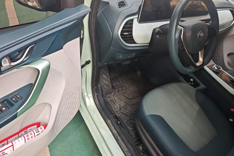 Used CHANGAN Benni E-Star 2022 Qingxin Edition Colorful Model Lithium Iron Phosphate Driver Seat