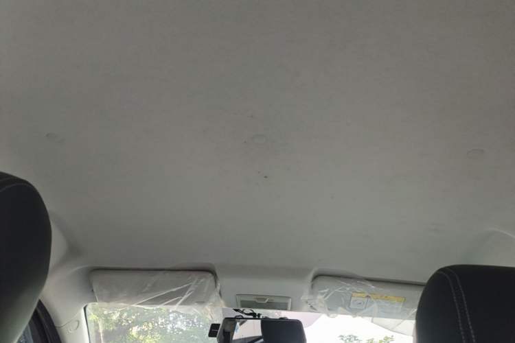 Used CHANGAN Benni E-Star 2022 Qingxin Edition Colorful Model Lithium Iron Phosphate Headliner