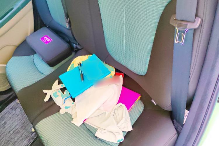 Used CHANGAN Benni E-Star 2022 Qingxin Edition Colorful Model Lithium Iron Phosphate Left Rear Seat