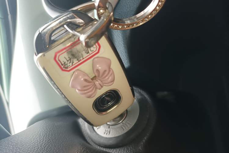 Used CHANGAN Benni E-Star 2022 Charming Edition Colorful Model Lithium Iron Phosphate Vehicle Key