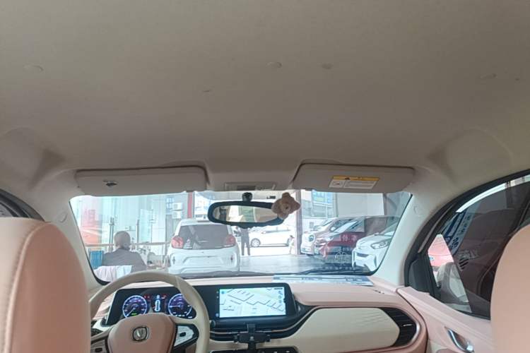 Used CHANGAN Benni E-Star 2022 Charming Edition Colorful Model Lithium Iron Phosphate Headliner