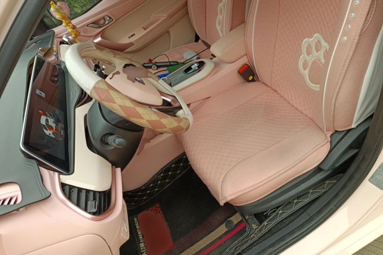 Used CHANGAN Benni E-Star 2022 Charming Edition Colorful Model Lithium Iron Phosphate Left Front Seat