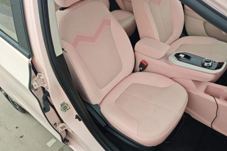 Used CHANGAN Benni E-Star 2022 Charming Edition Colorful Model Lithium Iron Phosphate Right Front Seat
