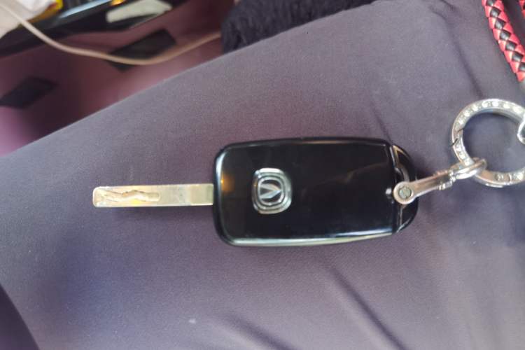 Used CHANGAN Benni E-Star 2022 National Edition Colorful Limited Edition (Fast-Charging Version) Lithium Iron Phosphate Vehicle Key