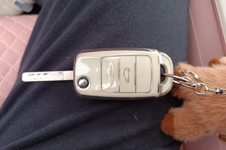 Used CHANGAN Benni E-Star 2022 Charming Edition Colorful Model Lithium Iron Phosphate Vehicle Key