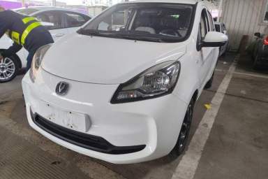 Used CHANGAN Benni E-Star 2022 National Edition Colorful Limited Edition (Fast-Charging Version) Lithium Iron Phosphate