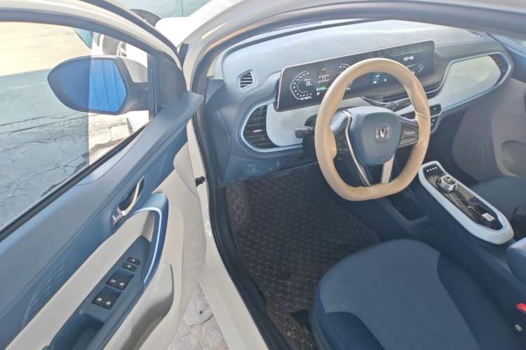 Used CHANGAN Benni E-Star 2022 Qingxin Edition Colorful Model Lithium Iron Phosphate Driver Seat