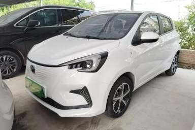 Used CHANGAN Benni E-Star 2022 Qingxin Edition Colorful Model Lithium Iron Phosphate