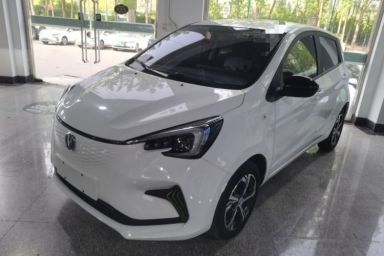Used CHANGAN Benni E-Star 2022 Qingxin Edition Colorful Model Lithium-NMC