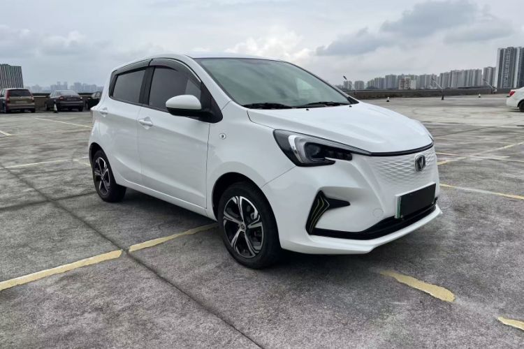 Used CHANGAN Benni E-Star 2022 Qingxin Edition Colorful Model Lithium Iron Phosphate Exterior 6
