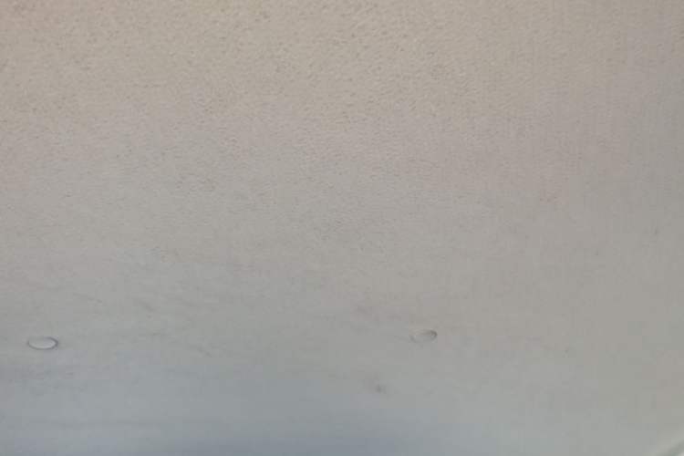 Used CHANGAN Benni E-Star 2022 Qingxin Edition Colorful Model Lithium Iron Phosphate Headliner