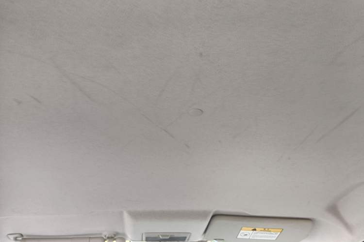 Used CHANGAN Benni E-Star 2022 Qingxin Edition Colorful Model Lithium Iron Phosphate Headliner