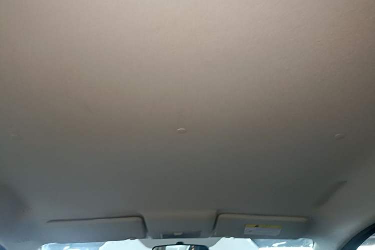 Used CHANGAN Benni E-Star 2022 Qingxin Edition Colorful Model Lithium Iron Phosphate Headliner