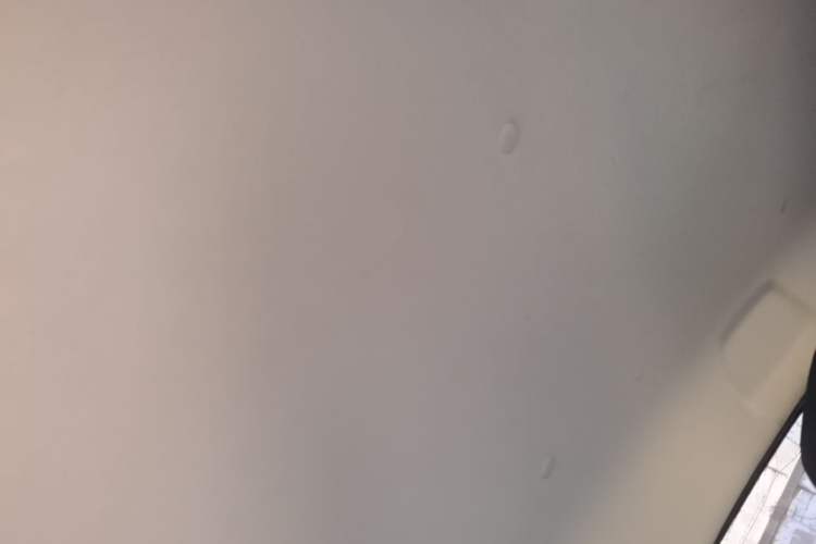 Used CHANGAN Benni E-Star 2022 Qingxin Edition Colorful Model Lithium Iron Phosphate Headliner