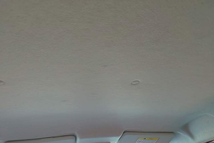Used CHANGAN Benni E-Star 2022 National Edition Colorful Limited Edition (Fast-Charging Version) Lithium Iron Phosphate Headliner