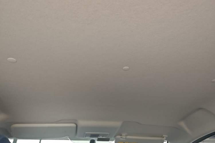Used CHANGAN Benni E-Star 2022 Charming Edition Colorful Model Lithium Iron Phosphate Headliner