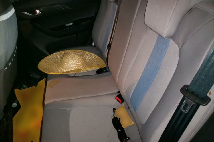 Used CHANGAN Benni E-Star 2022 Qingxin Edition Colorful Model Lithium Iron Phosphate Left Rear Seat