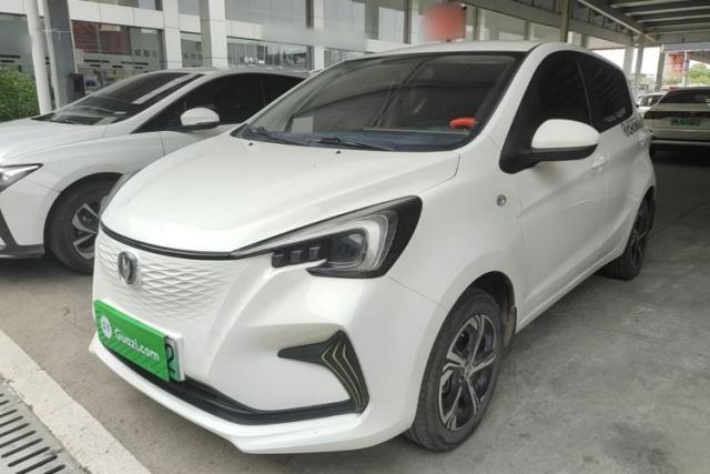 Used CHANGAN Benni E-Star 2022 Qingxin Edition Colorful Model Lithium Iron Phosphate