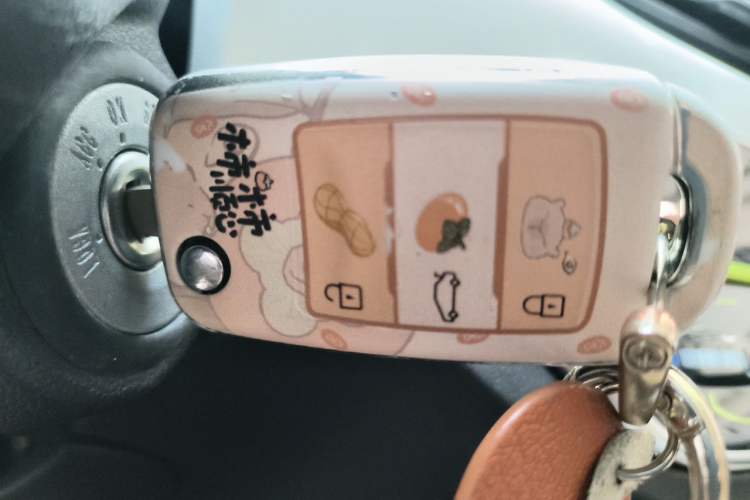 Used CHANGAN Benni E-Star 2022 Charming Edition Colorful Model Lithium Iron Phosphate Vehicle Key